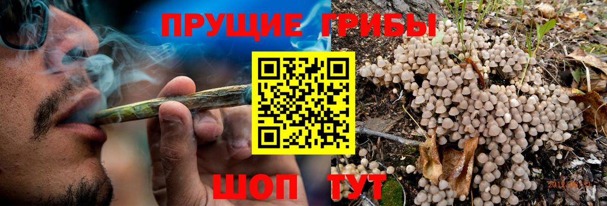 Псилоцибиновые грибы Magic Shrooms Дербент